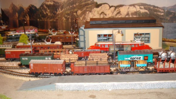 Les voil, les authentiques et merveilleux wagons de marchandises europens du temps jadis; une ambiance hlas  tout jamais disparue !