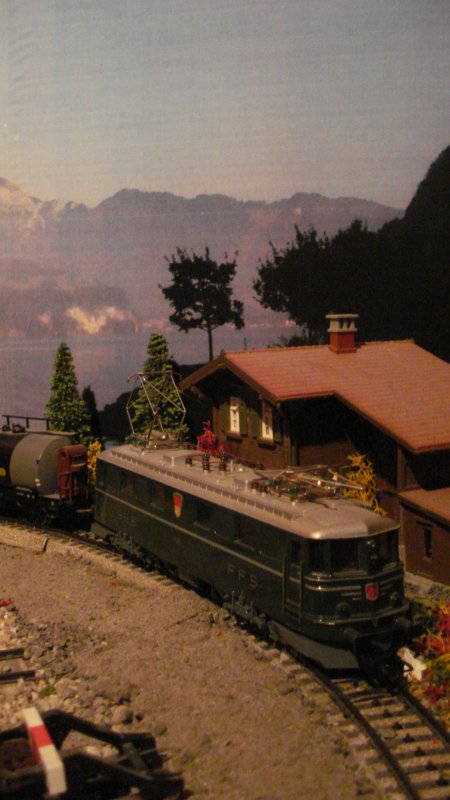 Quelques photographies ferroviaires en bordure du Lac d'Uri