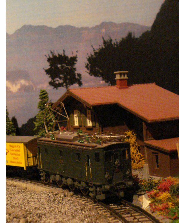 La petite dernire de ROXY est arrive, la fameuse Ae 3/5 No 10217 !