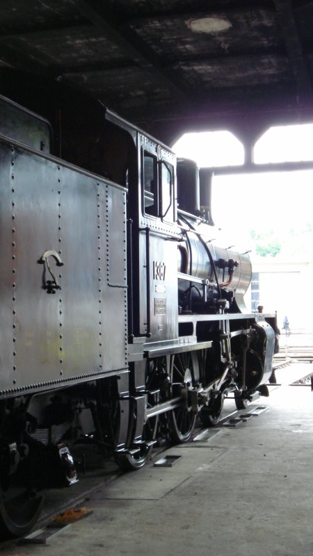 Souvenirs de la Fte Ferroviaire de Brugg AG (2me partie)