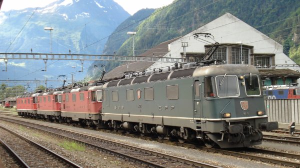 L'volution en images