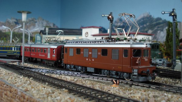 Trains internationaux europens du "Chemin de Fer-Muse du Cabanon"