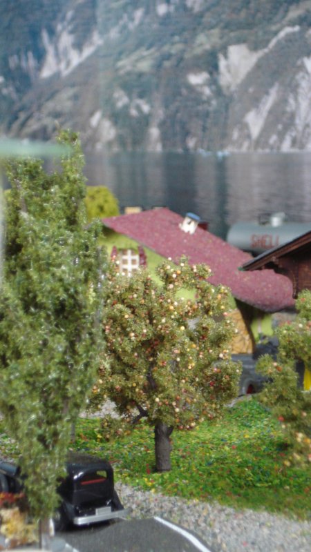 La Suisse authentique en images (premire partie)