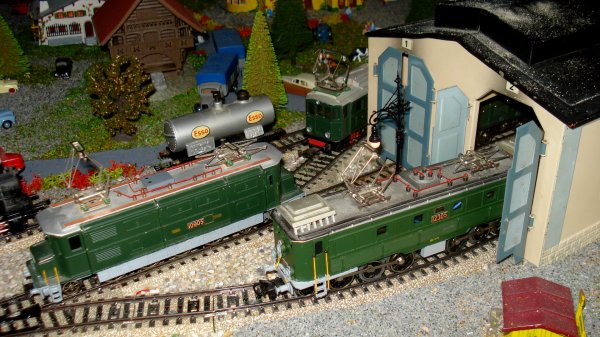 ... puis brunes et vertes et finalement vertes !