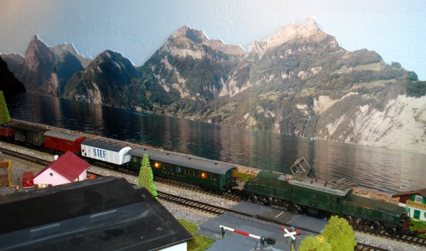 ... puis brunes et vertes et finalement vertes !