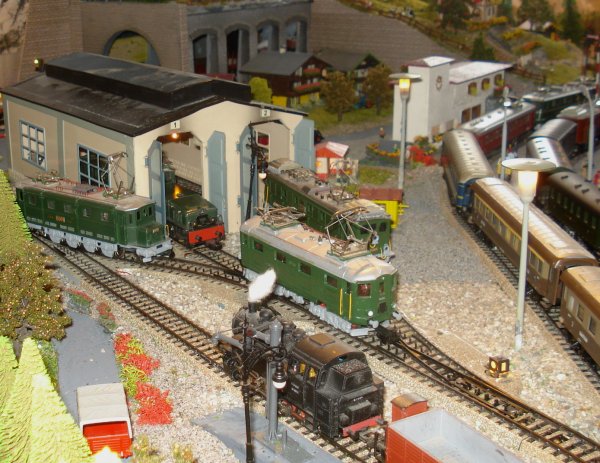 ... puis brunes et vertes et finalement vertes !