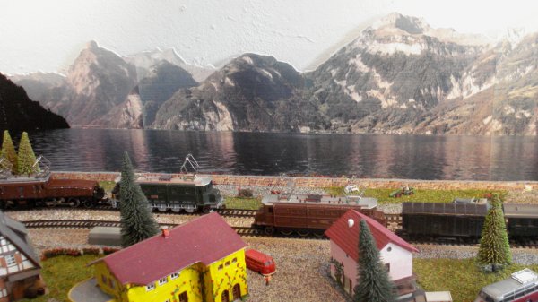 ... puis brunes et vertes et finalement vertes !