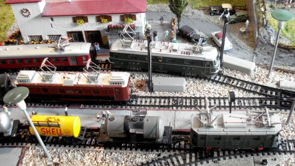 ... puis brunes et vertes et finalement vertes !