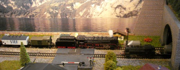 Les fameux "Plandampfzüge" de la DR et de la DB !