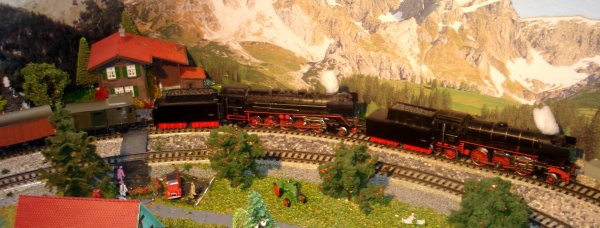 Encore quelques photographies !