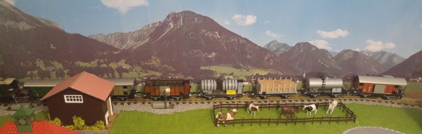 Enfin un wagon plat M6 BUCO de couleur grise et un nouveau wagon-citerne: