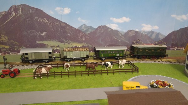 Formation des trains sur mon réseau « Tin-Plate 0 »