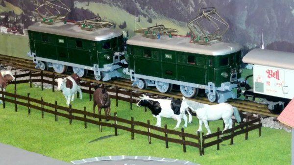 Magnifiques DVD vidéo et de photographies de mon réseau « Tin-Plate 0 »